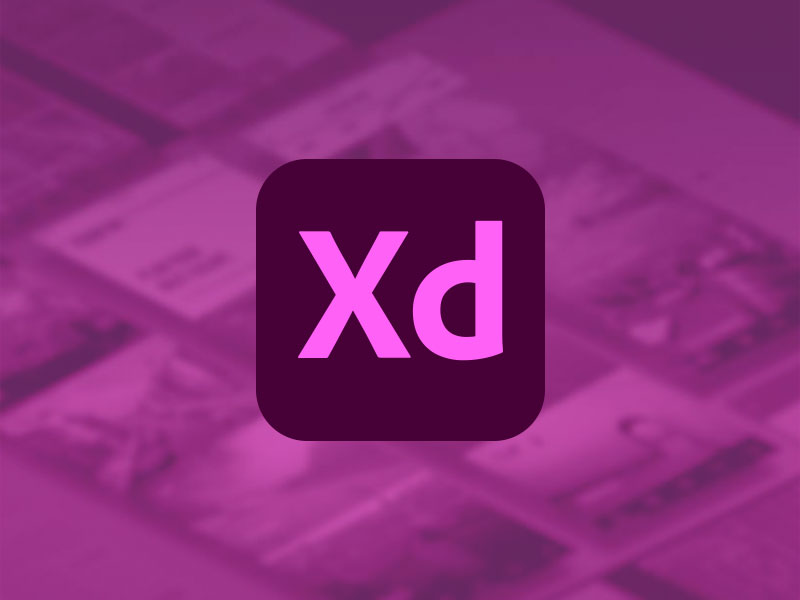Adobe XD无法验证订阅状态；开发人员许可证过期；无法导出到AE